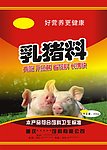 乳猪料