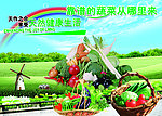 蔬菜海报