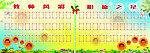 教师风采宣传栏