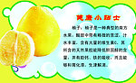 健康小贴士