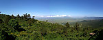 青山绿树