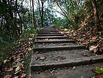 大阁山
