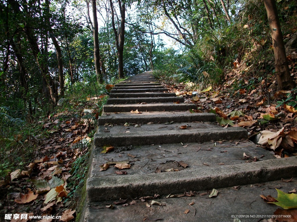 大阁山