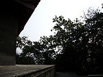 大阁山