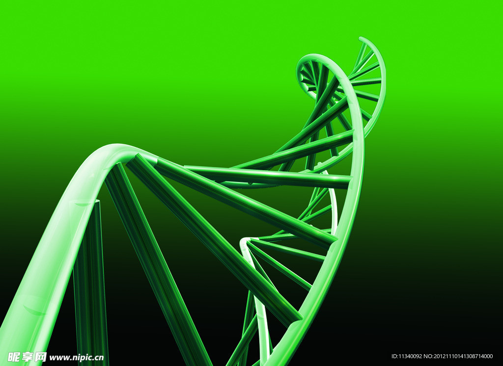 DNA 生物 科技基因