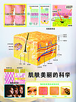 肌肤美丽的科学
