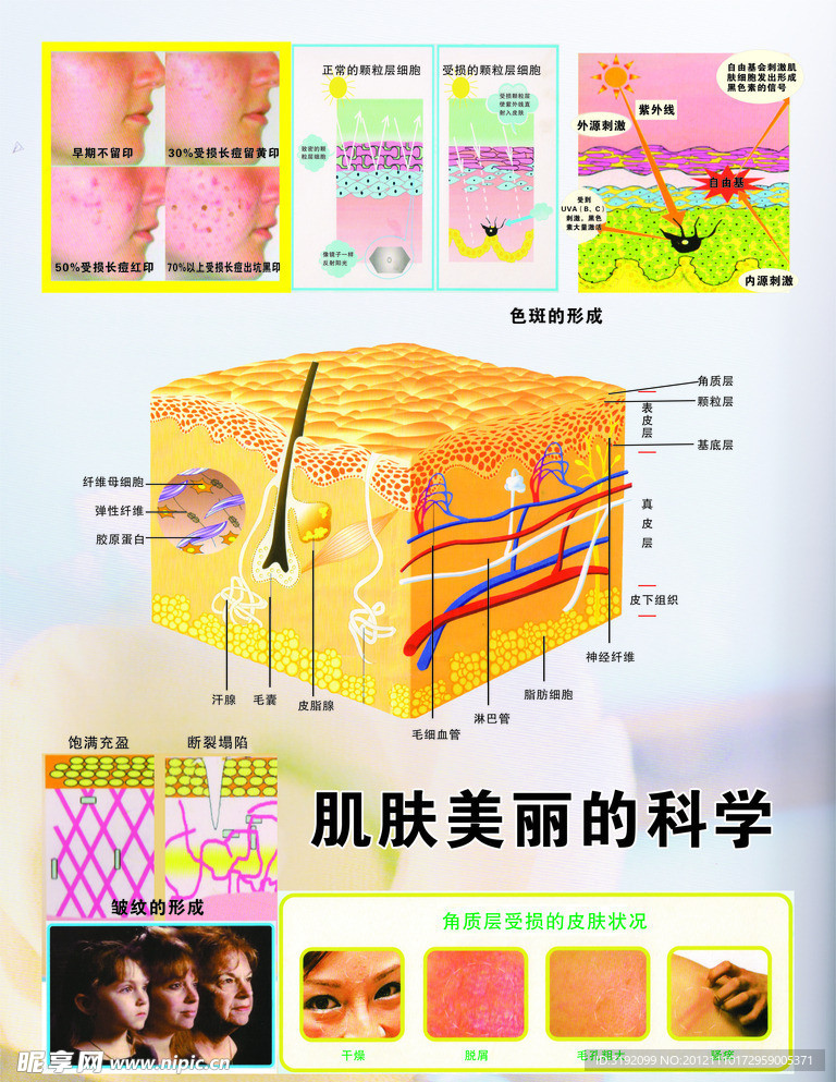 肌肤美丽的科学