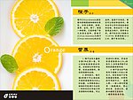 版式设计 橘子
