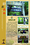 香港大学