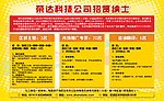 招聘设计