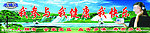 治疗仪展板 万年松