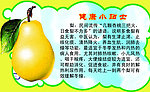 健康小贴士