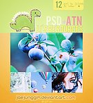 PS唯美调色动作