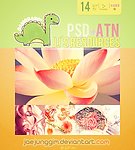 PS唯美色调动作