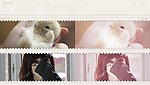 精美调色动作