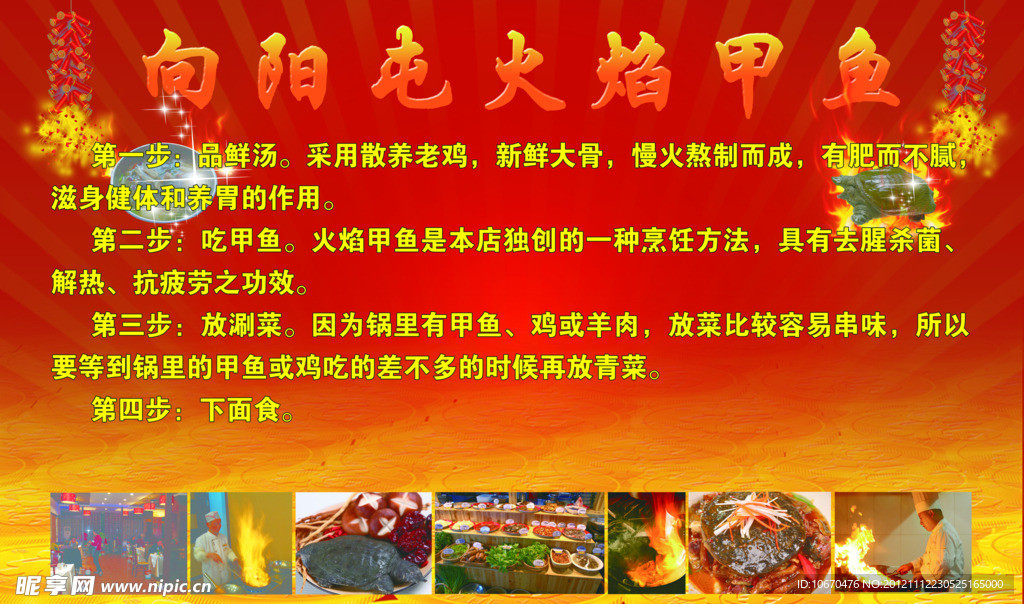火焰甲鱼