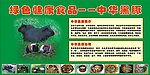 中华黑豚