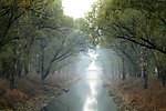 乡村小河