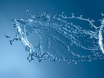 水花