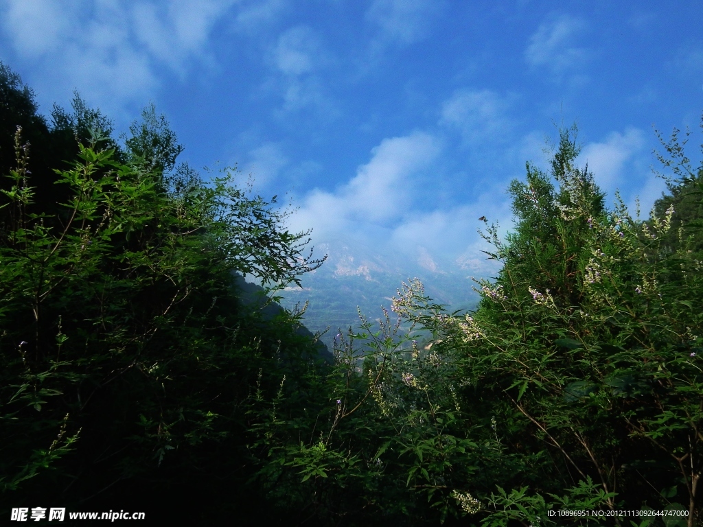 风景图片