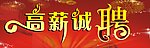 高薪诚聘
