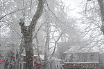 庐山雪中