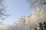 庐山雪后 温暖