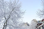 庐山大雪后的美