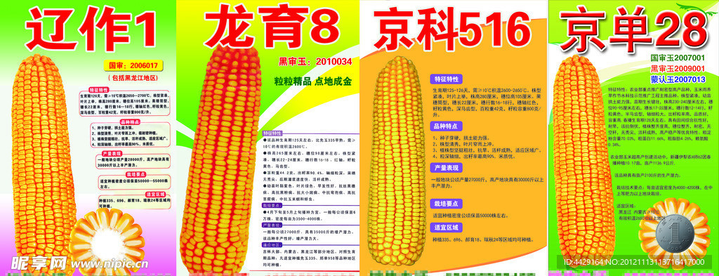 玉米宣传册