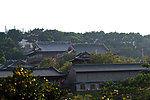西樵山
