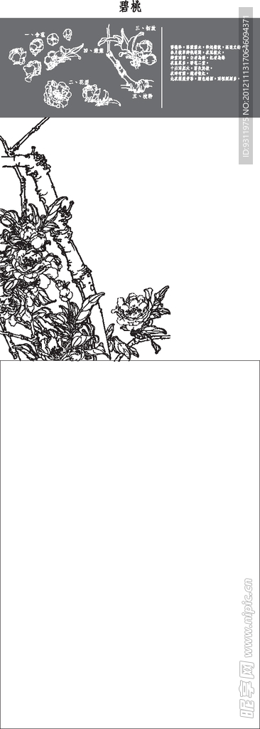 碧桃