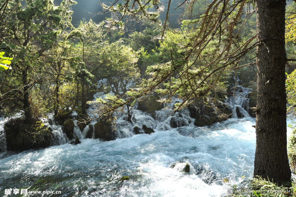 河流溪水