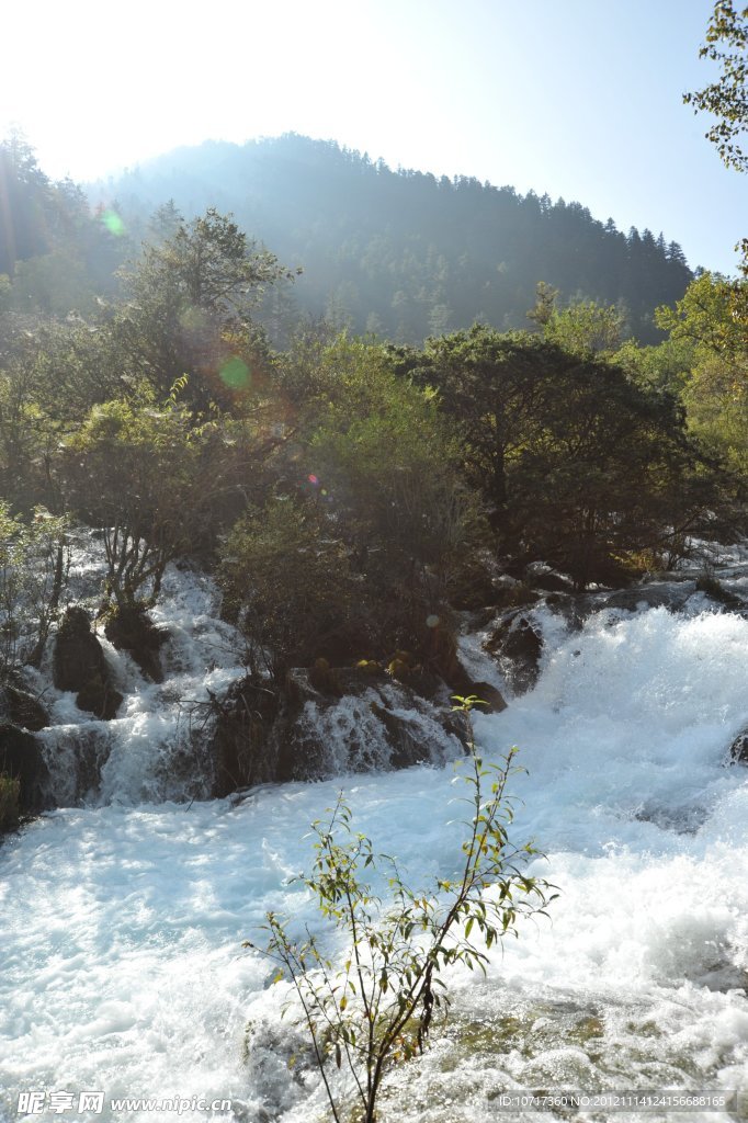 河流溪水