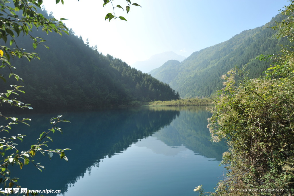 河流溪水