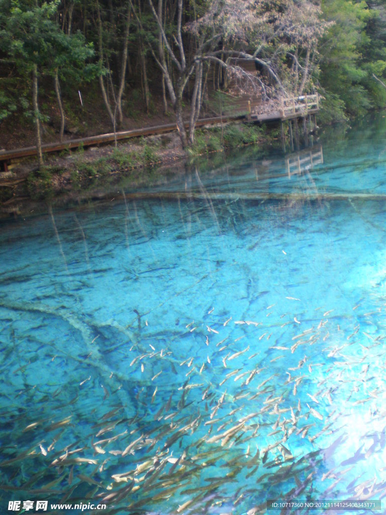 九寨沟湖水