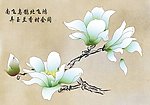 玉兰 AI 矢量图