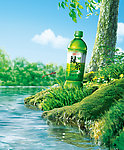 瓶装绿茶 绿茶海报