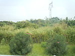 车窗外