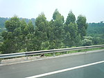 车窗外
