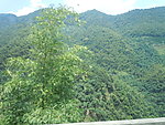 厦门