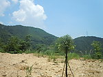 厦门