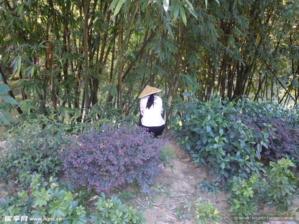 厦门