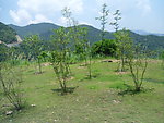 厦门山峦