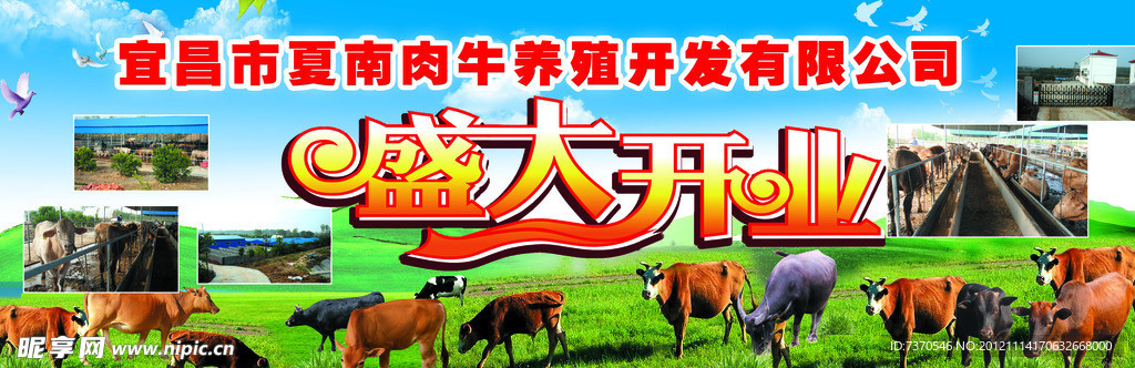 盛大开业