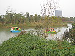 艾溪湖湿地游船