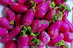 绿色食品 蔬菜