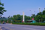 城市干道 绿色环保
