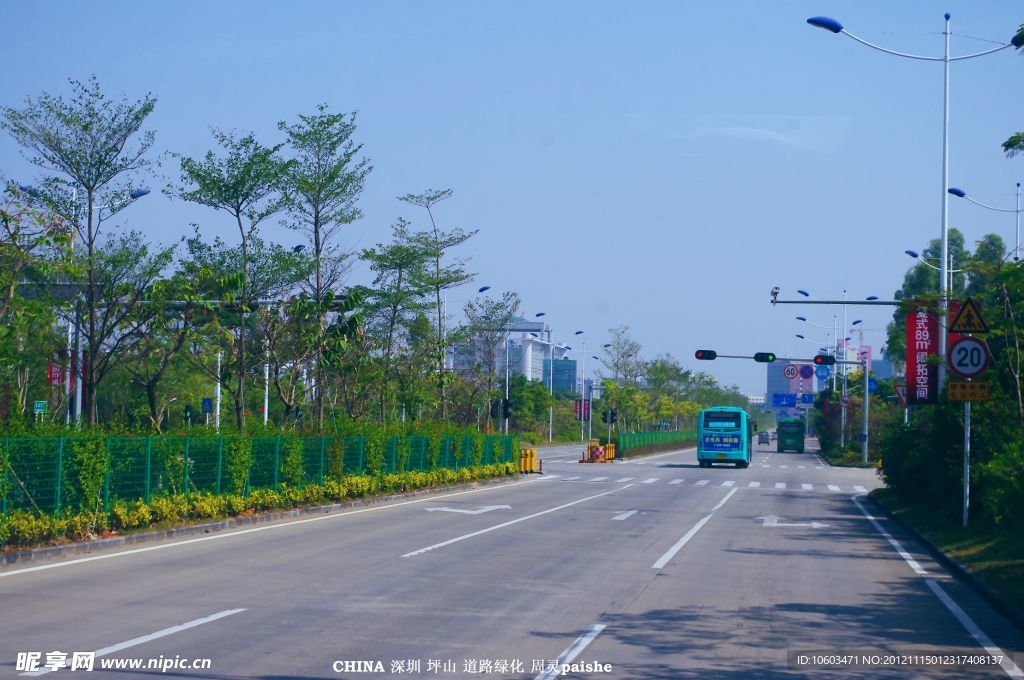 城市干道 绿色道路