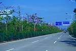 道路景观 城市绿化