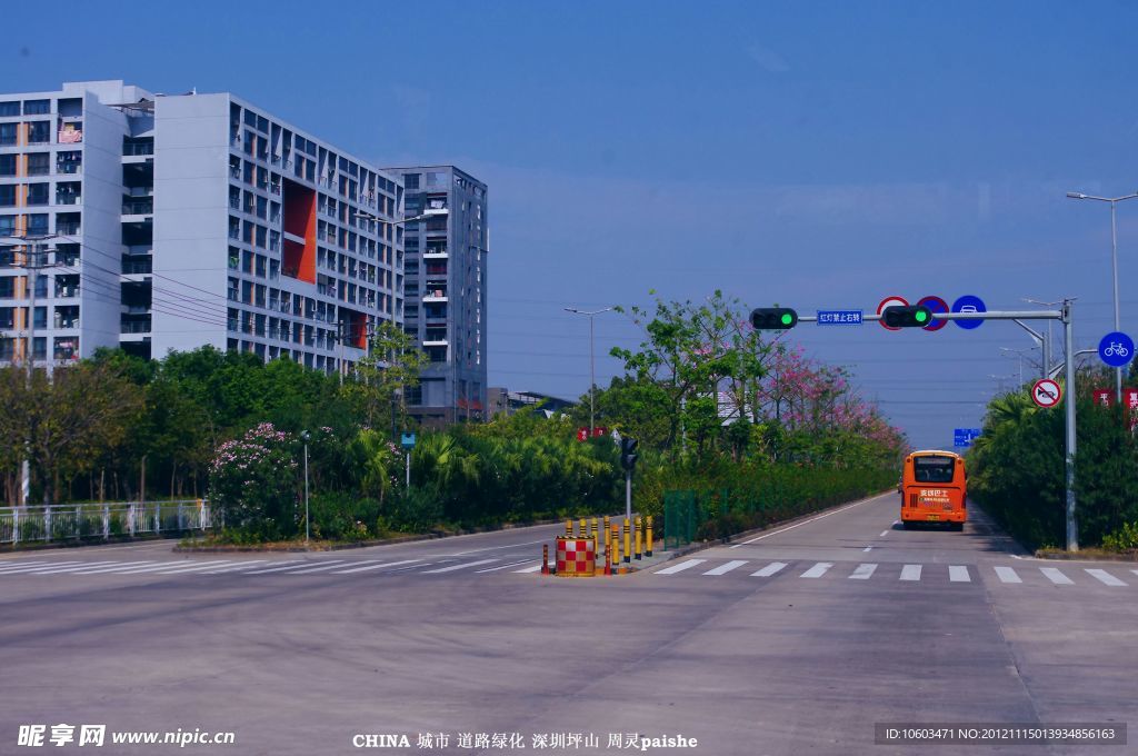 道路景观 城市建设